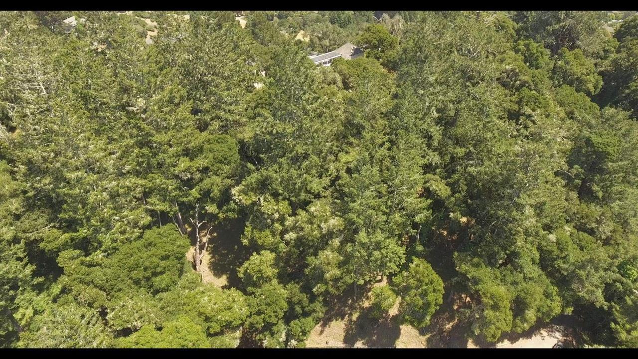 0 Burns Aptos, CA 95003 - Photo 2 of 8 a view of a yard