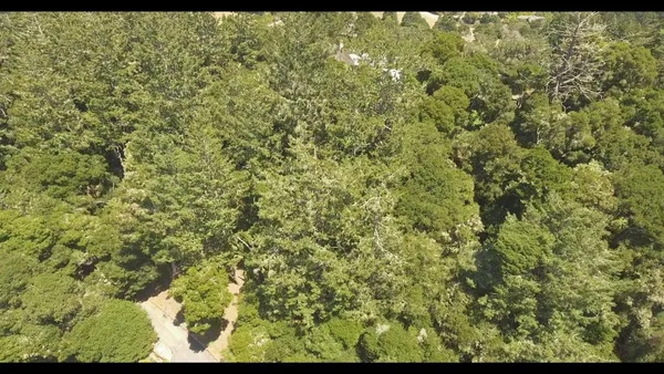 a view of a yard with an outdoor space