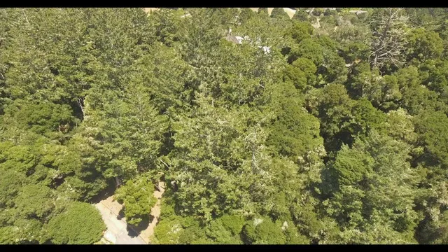 a view of a yard with an outdoor space