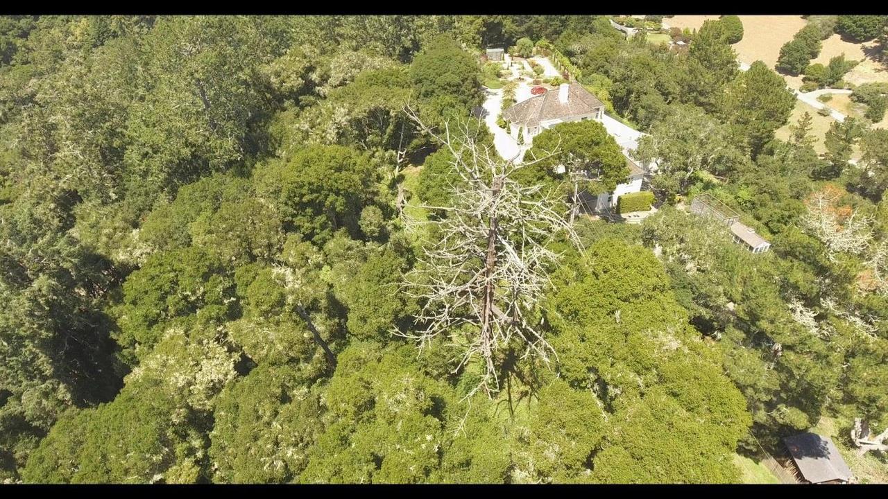 0 Burns Aptos, CA 95003 - Photo 4 of 8 a view of a tree with a yard