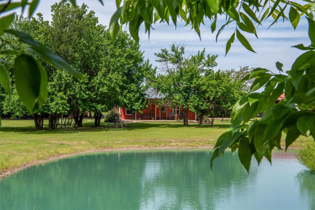 8665 Cr-669 Blue Ridge Blue Ridge, TX 75424 - Photo 1 of 40 a view of a swimming pool with a garden and trees