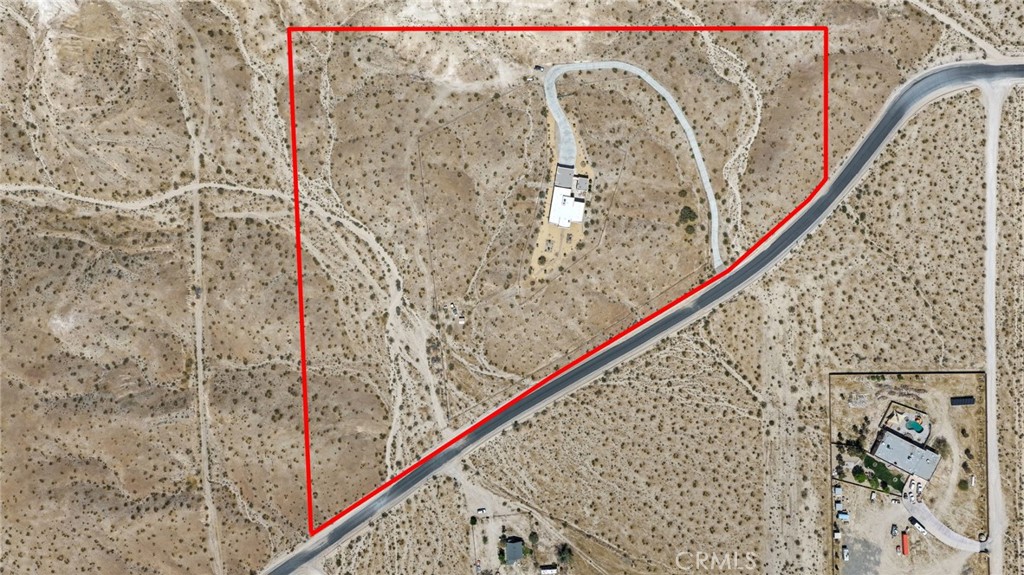 16222 Wild Road Helendale, CA 92342 - Photo 69 of 75 a close up of a plant