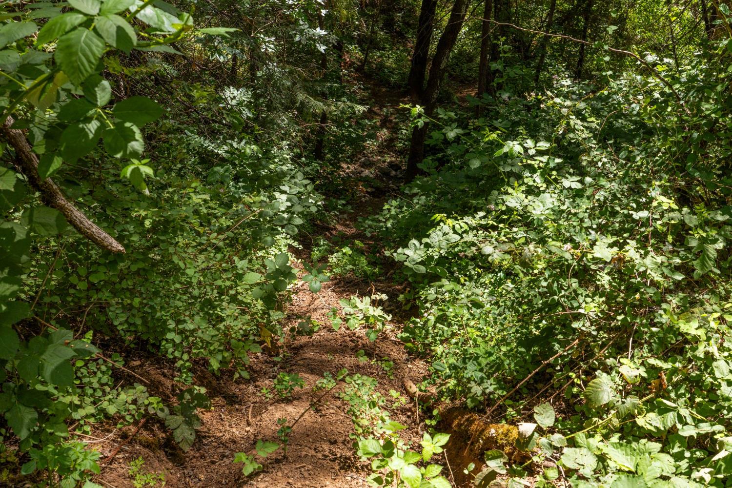 3560 Mining Brook Road Placerville, CA 95667 - Photo 59 of 80
