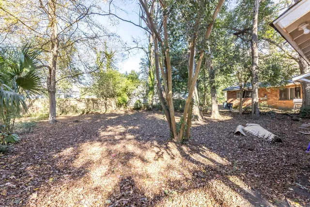 a view of a yard with a tree