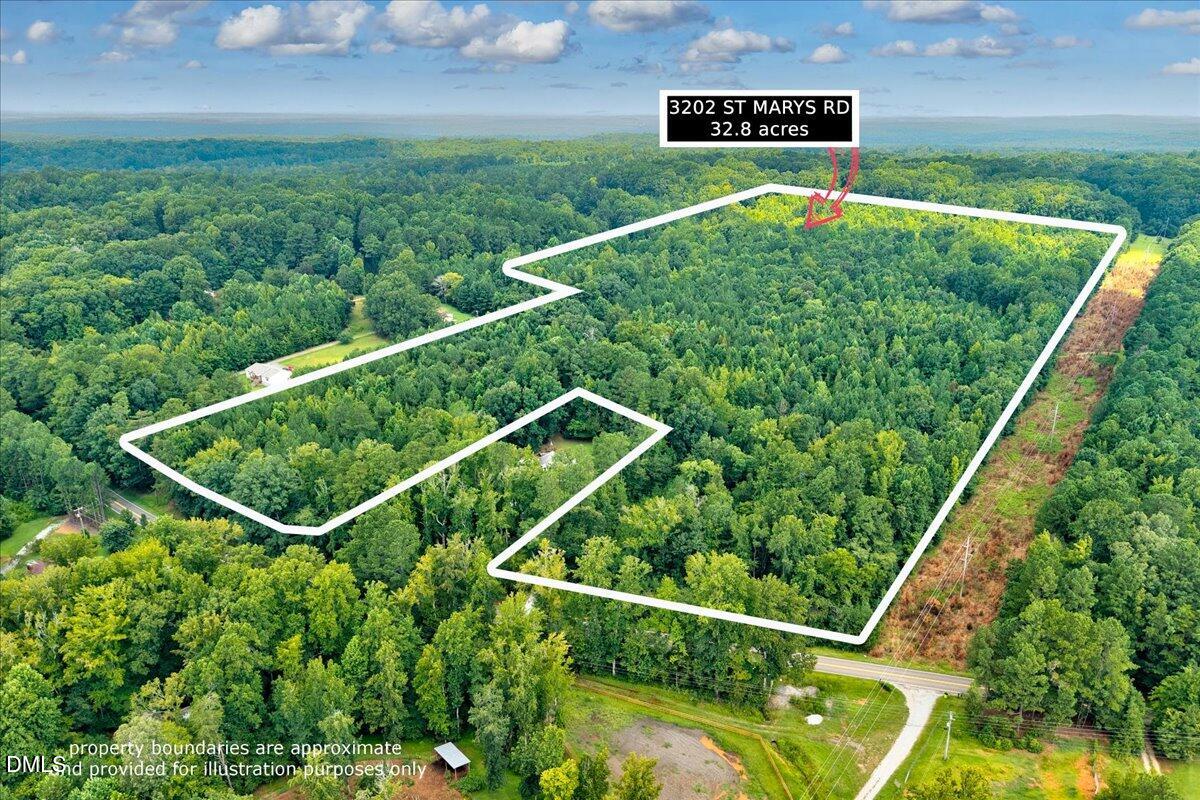 3202 St Marys Road Hillsborough, NC 27278 - Photo 1 of 12 a view of a backyard with plants