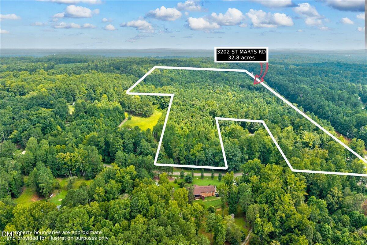 3202 St Marys Road Hillsborough, NC 27278 - Photo 3 of 12 a view of a back yard