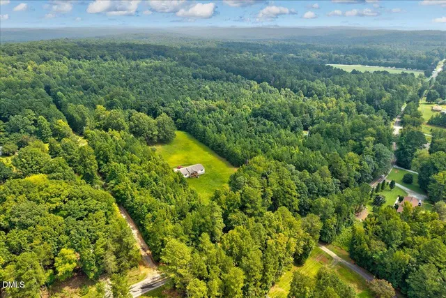 a view of a big yard with plants and large trees