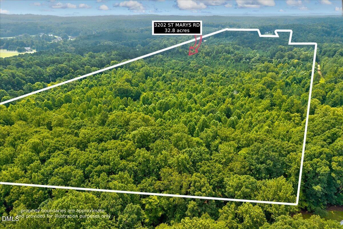 3202 St Marys Road Hillsborough, NC 27278 - Photo 7 of 12 a view of a field with plants