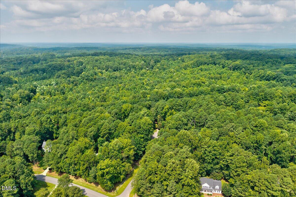 3202 St Marys Road Hillsborough, NC 27278 - Photo 10 of 12 a view of a green field with lots of bushes