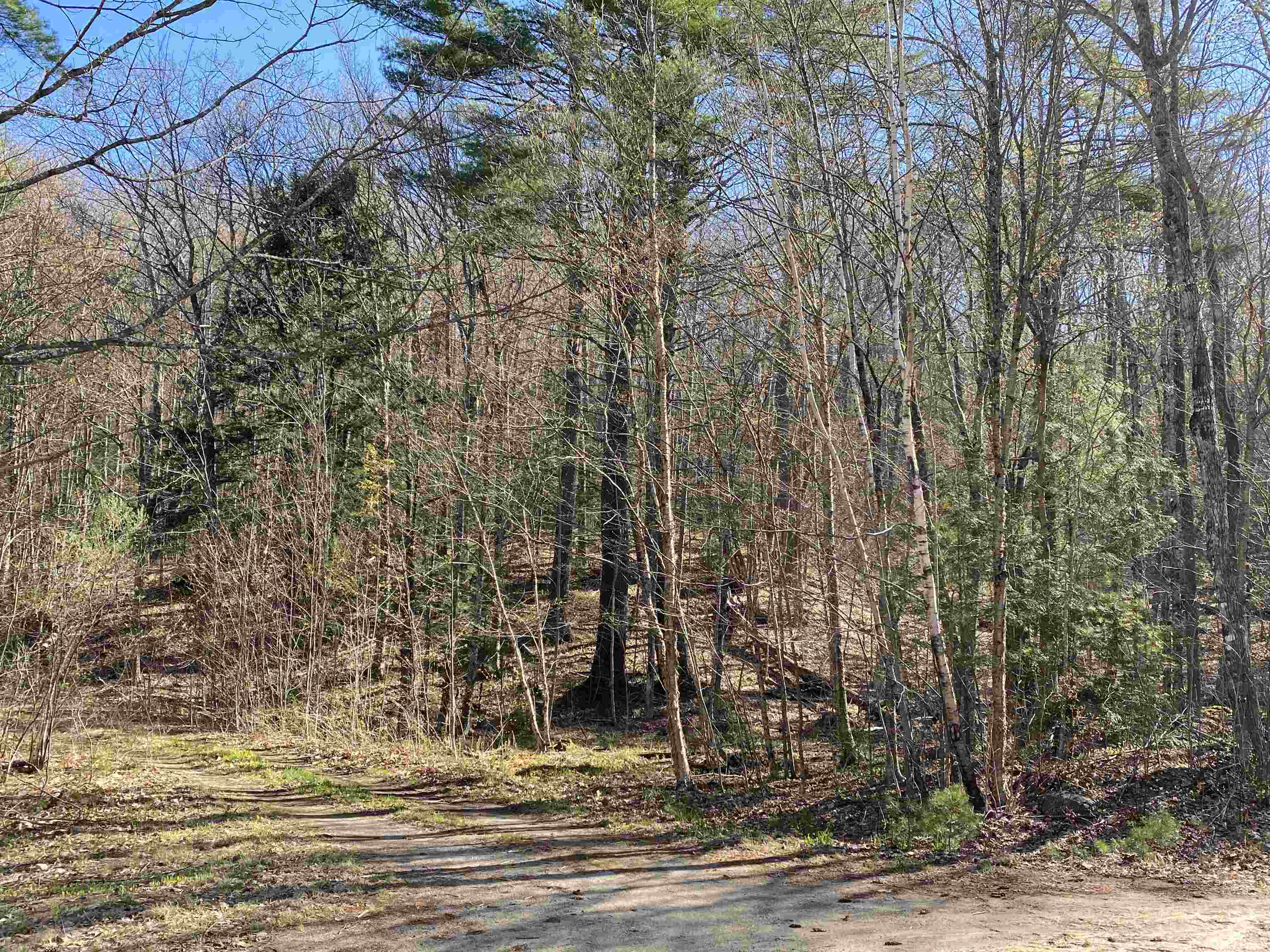 H-6-7 Winterbrook Road Campton, NH 03223 - Photo 4 of 5