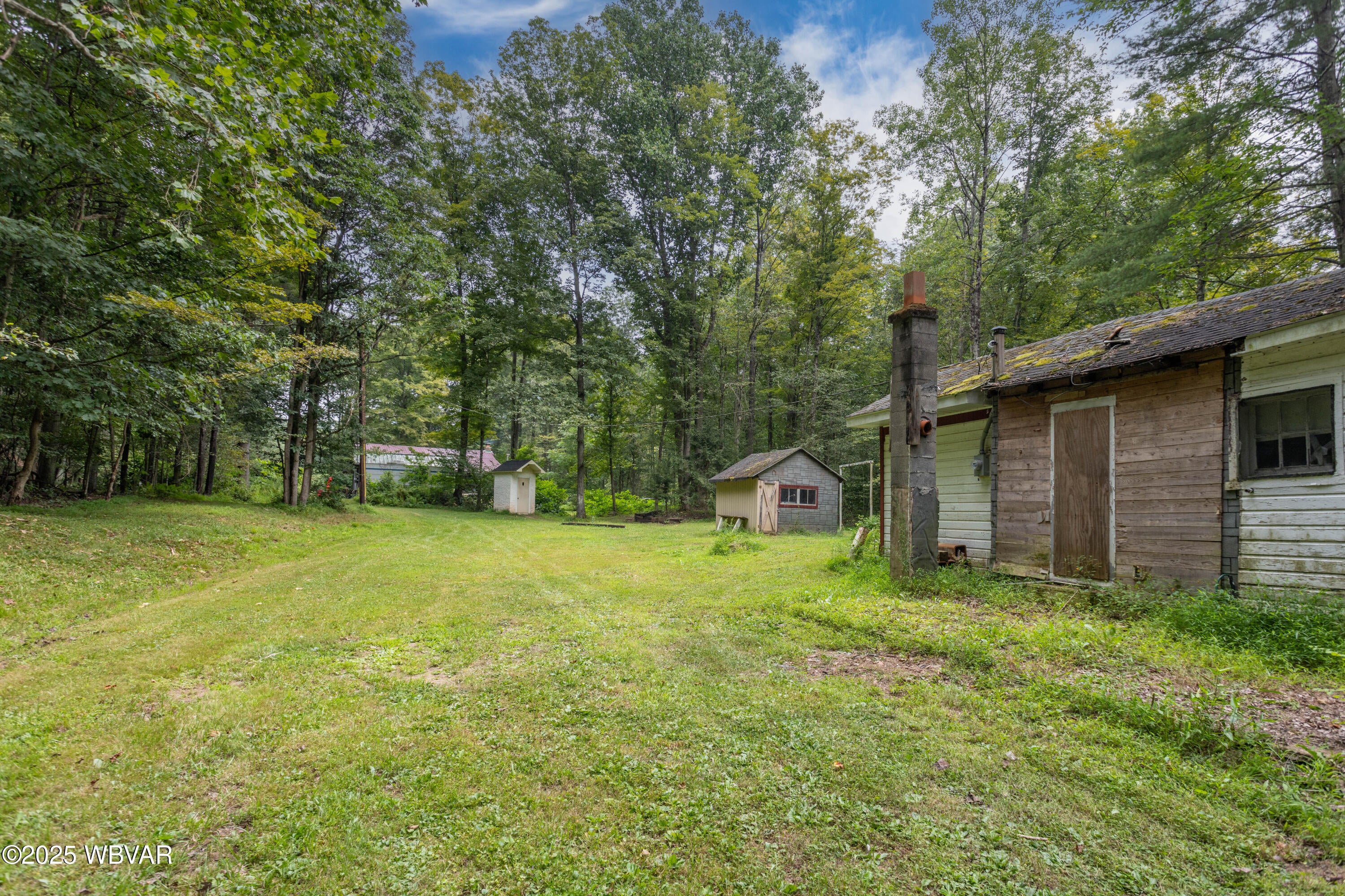 1235 Pleasant Stream Road Trout Run, PA 17771 - Photo 25 of 30 Yard 2