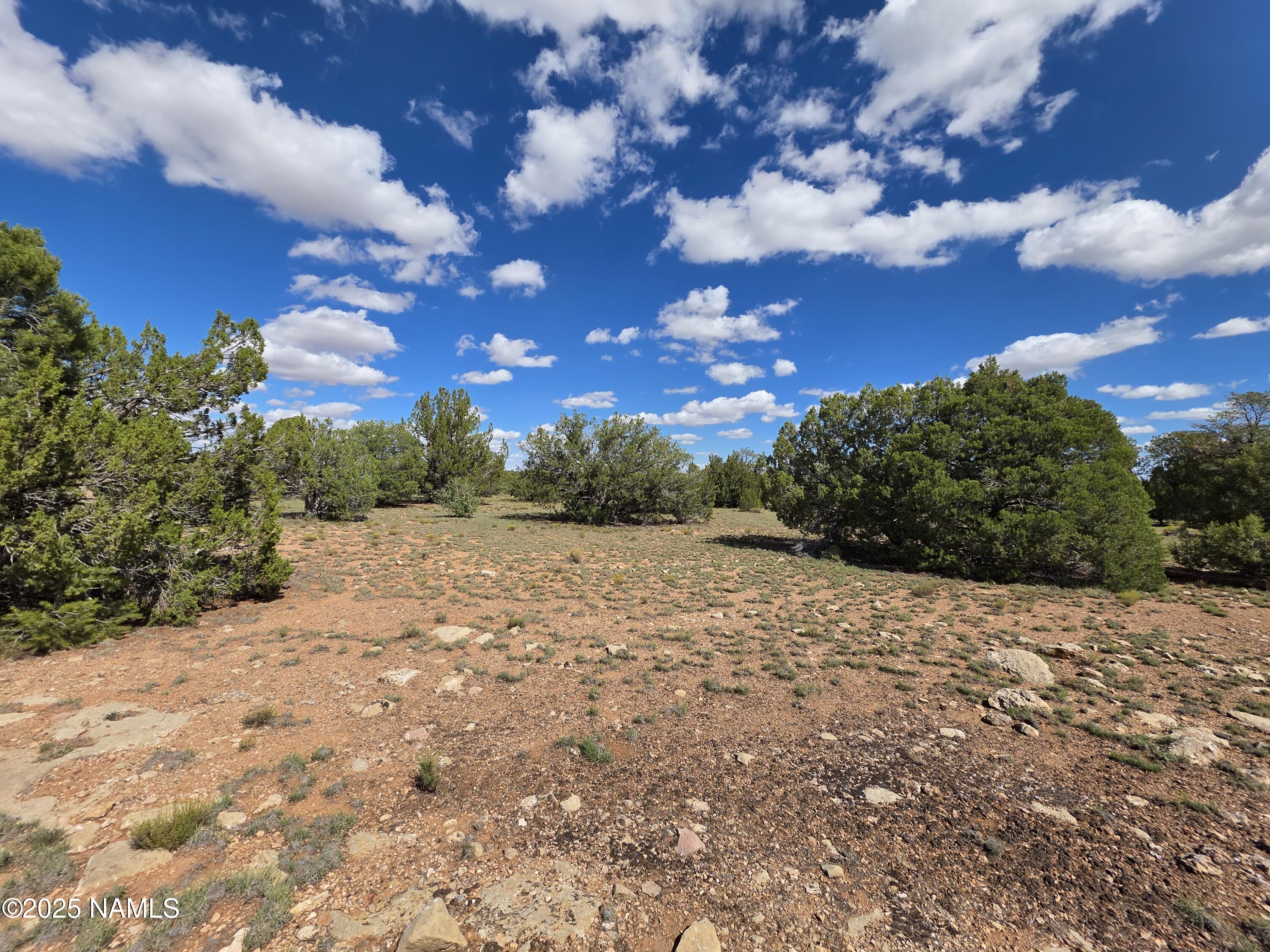 10422 West Red Bluff Road Williams, AZ 86046 - Photo 10 of 28 1000053466