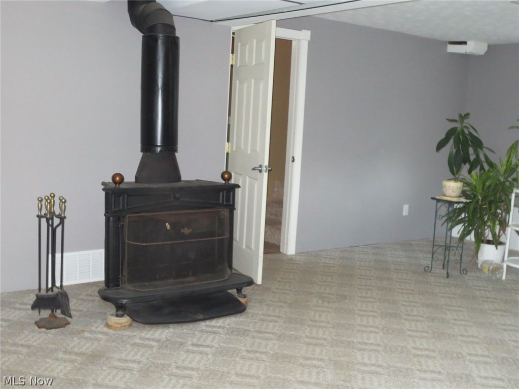 3006 Selkirk Bush Road Warren, OH 44481 - Photo 12 of 21 A closer view of the woodburner