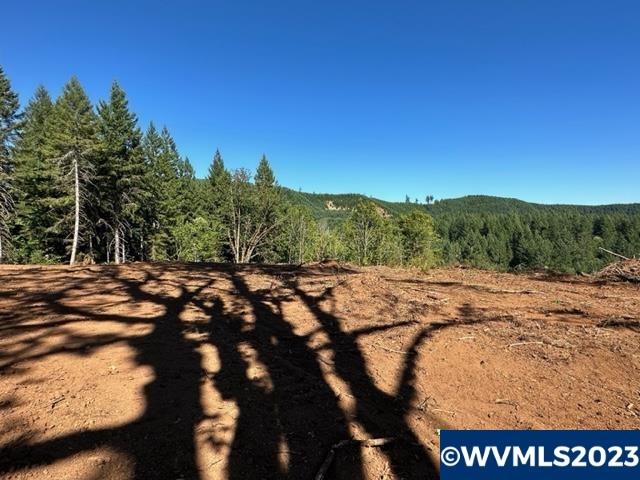 526258 Southwest Pumpkinseed Road Willamina, OR 97396 - Photo 18 of 24