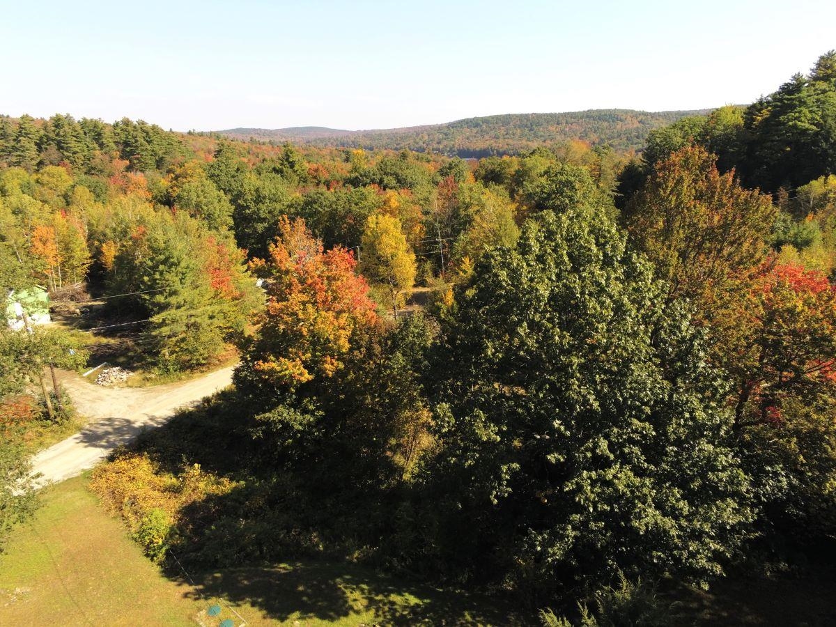 74 Turtle Rock Road Stoddard, NH 03464 - Photo 2 of 24 Gallery Image 2