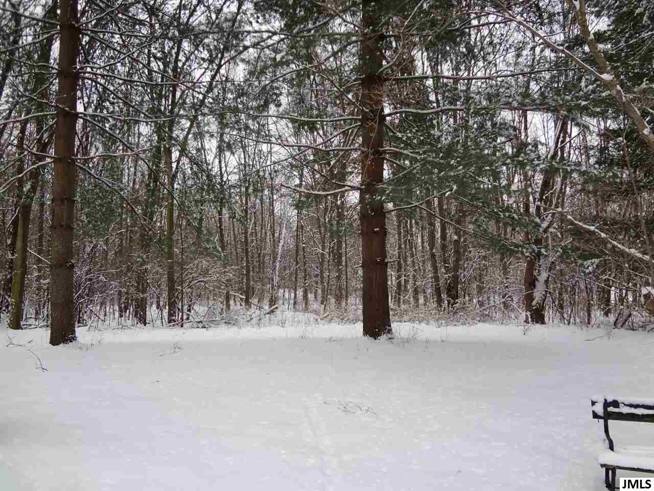 5400 South Draper Jackson, MI 49201 - Photo 14 of 16 Photo 14