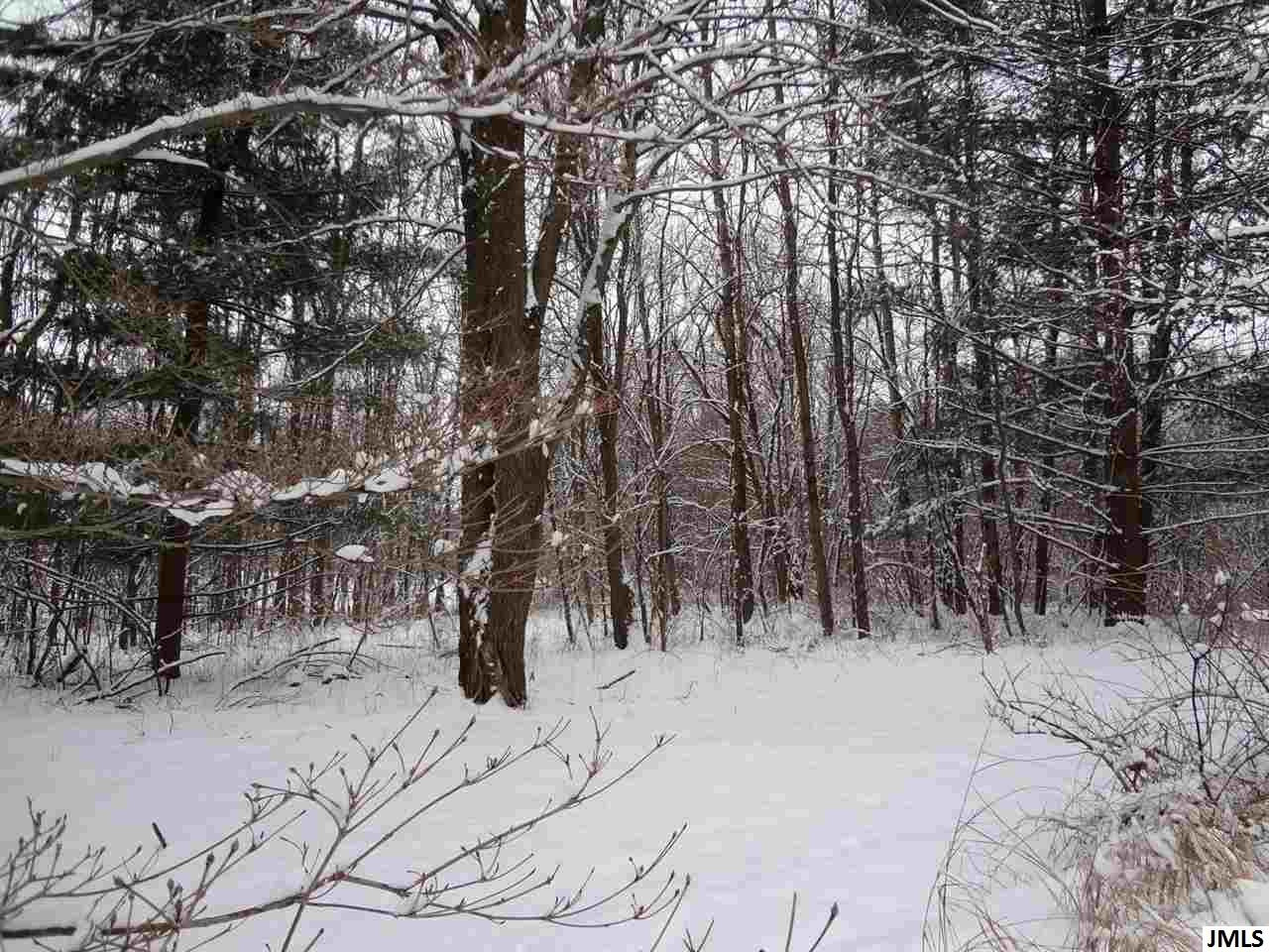 5400 South Draper Jackson, MI 49201 - Photo 15 of 16 Photo 15