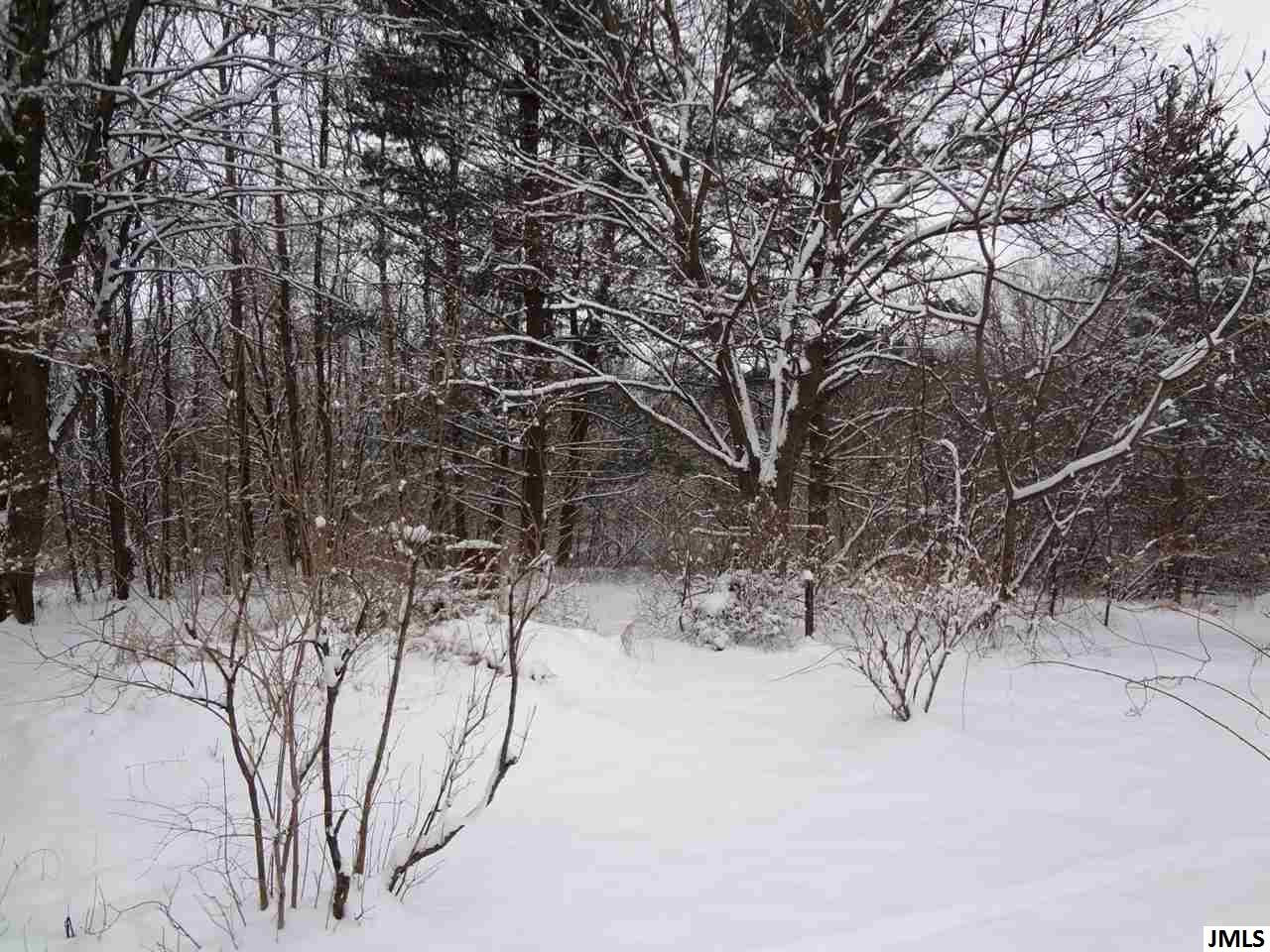 5400 South Draper Jackson, MI 49201 - Photo 16 of 16 Photo 16