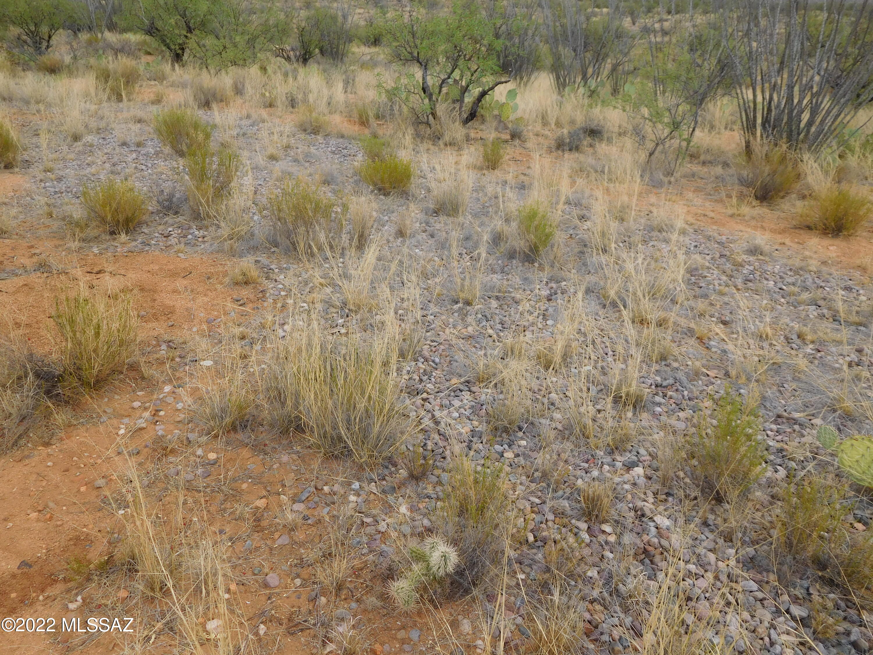 16705 South Sierrita Mountain Road Tucson, AZ 85736 - Photo 6 of 38