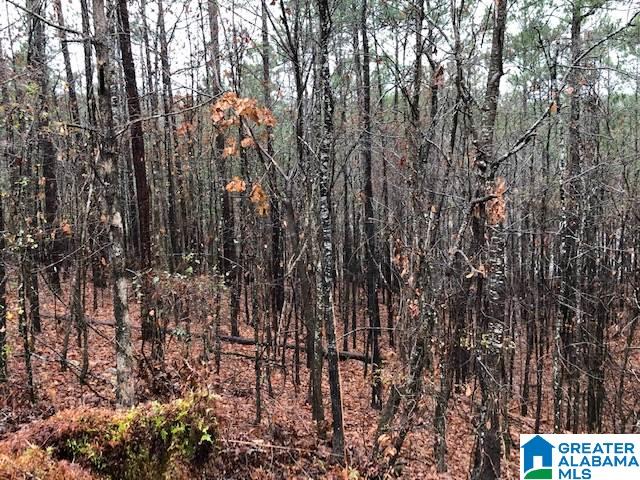 0 Lakeside Lane, Unit 31 Alpine, AL 35014 - Photo 9 of 42