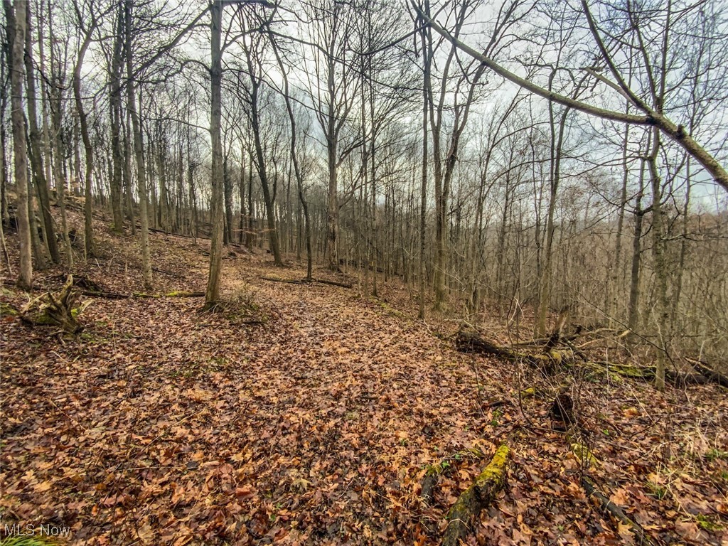 0 New Cut Road Shadyside, OH 43947 - Photo 19 of 37 View of local wilderness