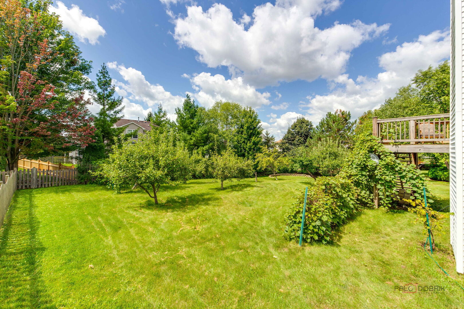2227 Trailside Lane Wauconda, IL 60084 - Photo 37 of 37 a view of a yard with swimming pool