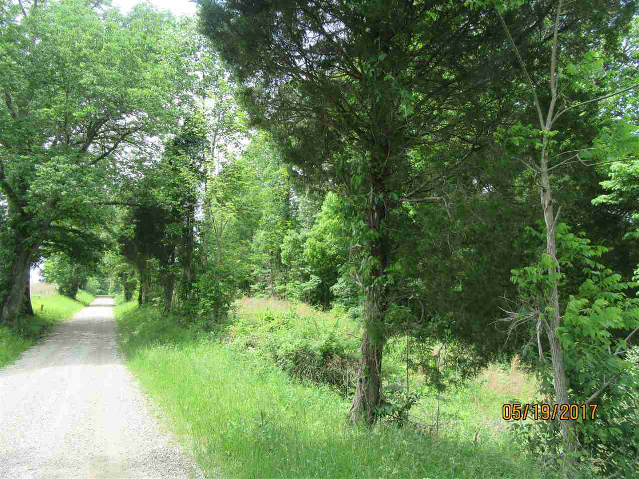 0 Tumbler Road Rome, IN 47574 - Photo 12 of 17 Gallery Image 12