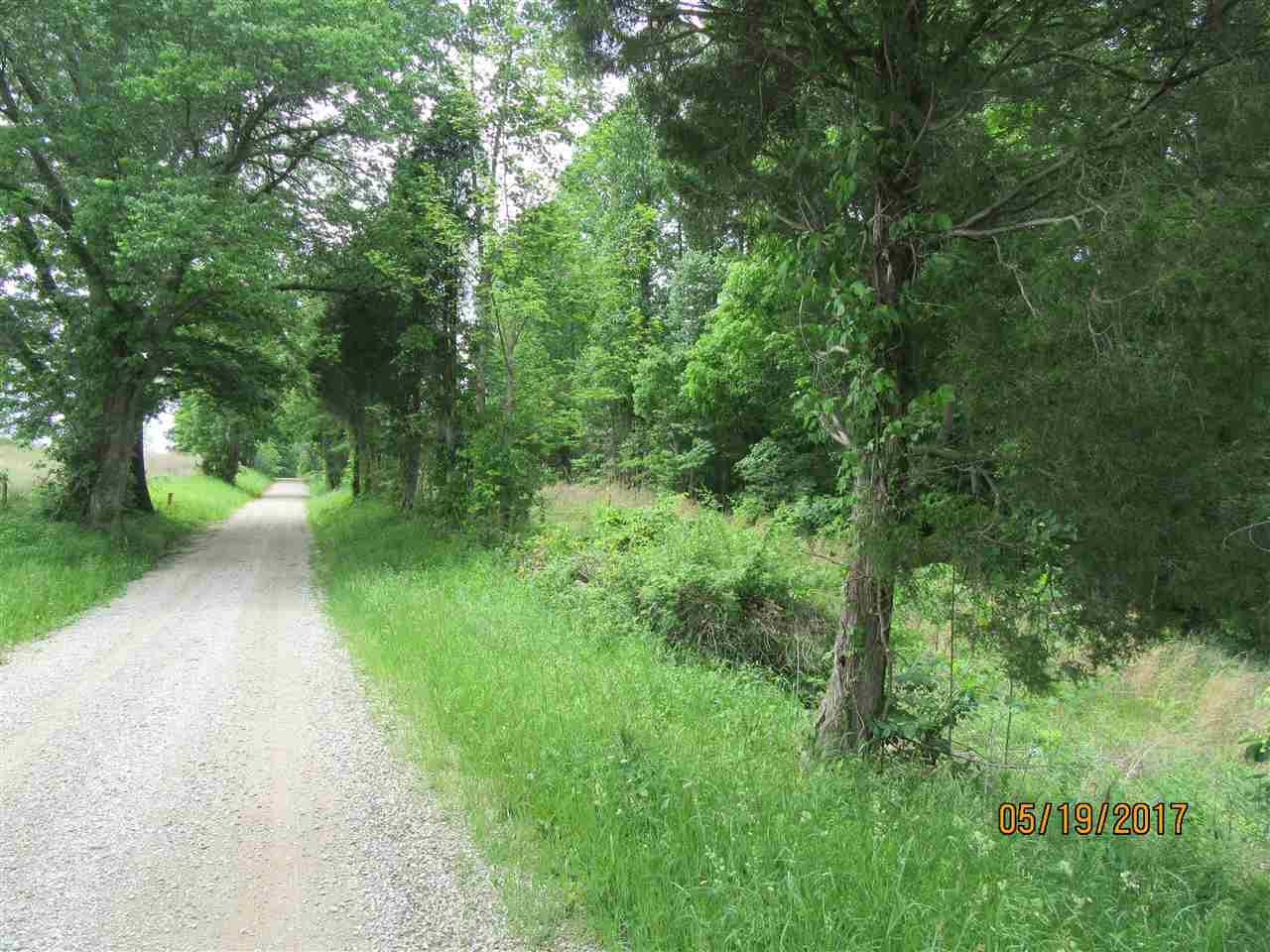 0 Tumbler Road Rome, IN 47574 - Photo 13 of 17 Gallery Image 13
