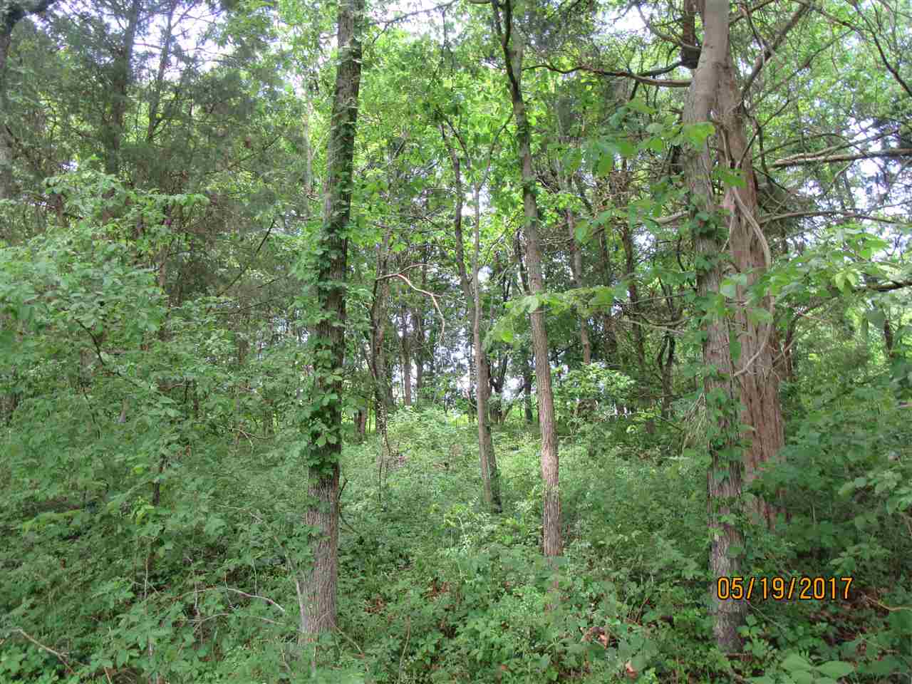 0 Tumbler Road Rome, IN 47574 - Photo 3 of 17 Gallery Image 3