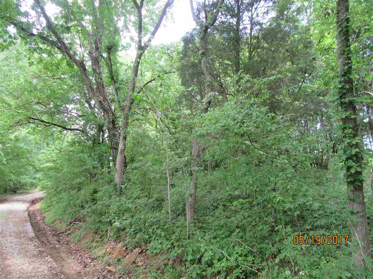 0 Tumbler Road Rome, IN 47574 - Photo 4 of 17 Gallery Image 4
