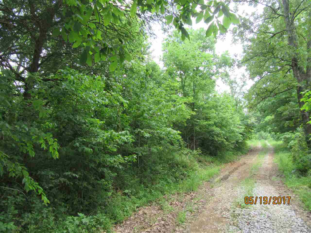 0 Tumbler Road Rome, IN 47574 - Photo 5 of 17 Gallery Image 5