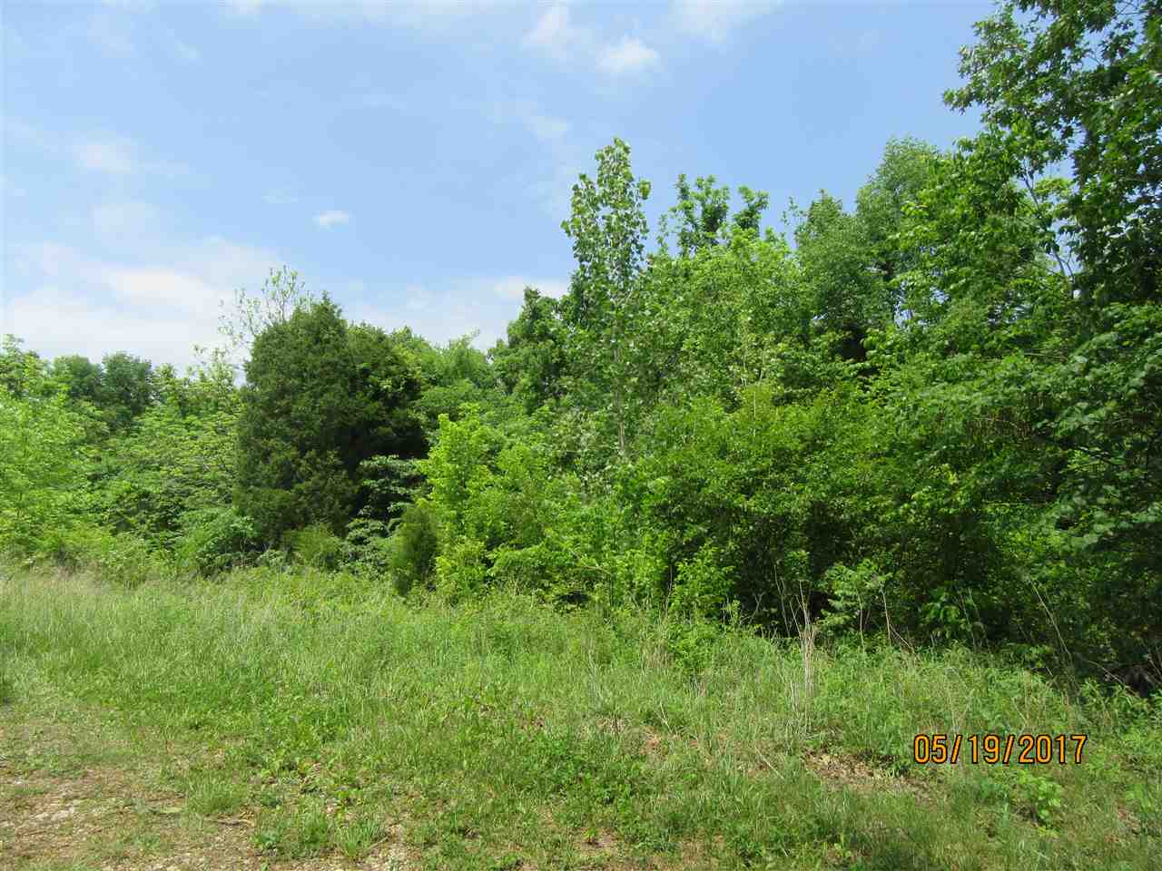 0 Tumbler Road Rome, IN 47574 - Photo 10 of 17 Gallery Image 10