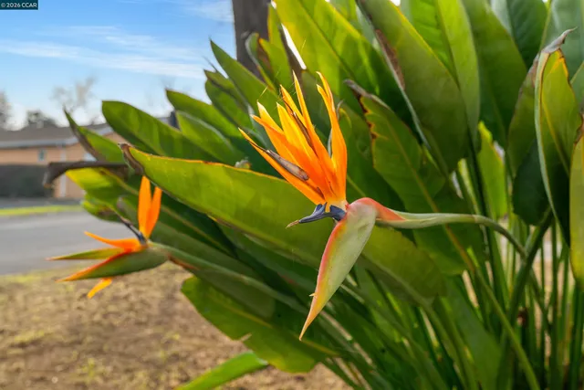 $369,000 | 2831 Almond Street, Martinez, CA 94553