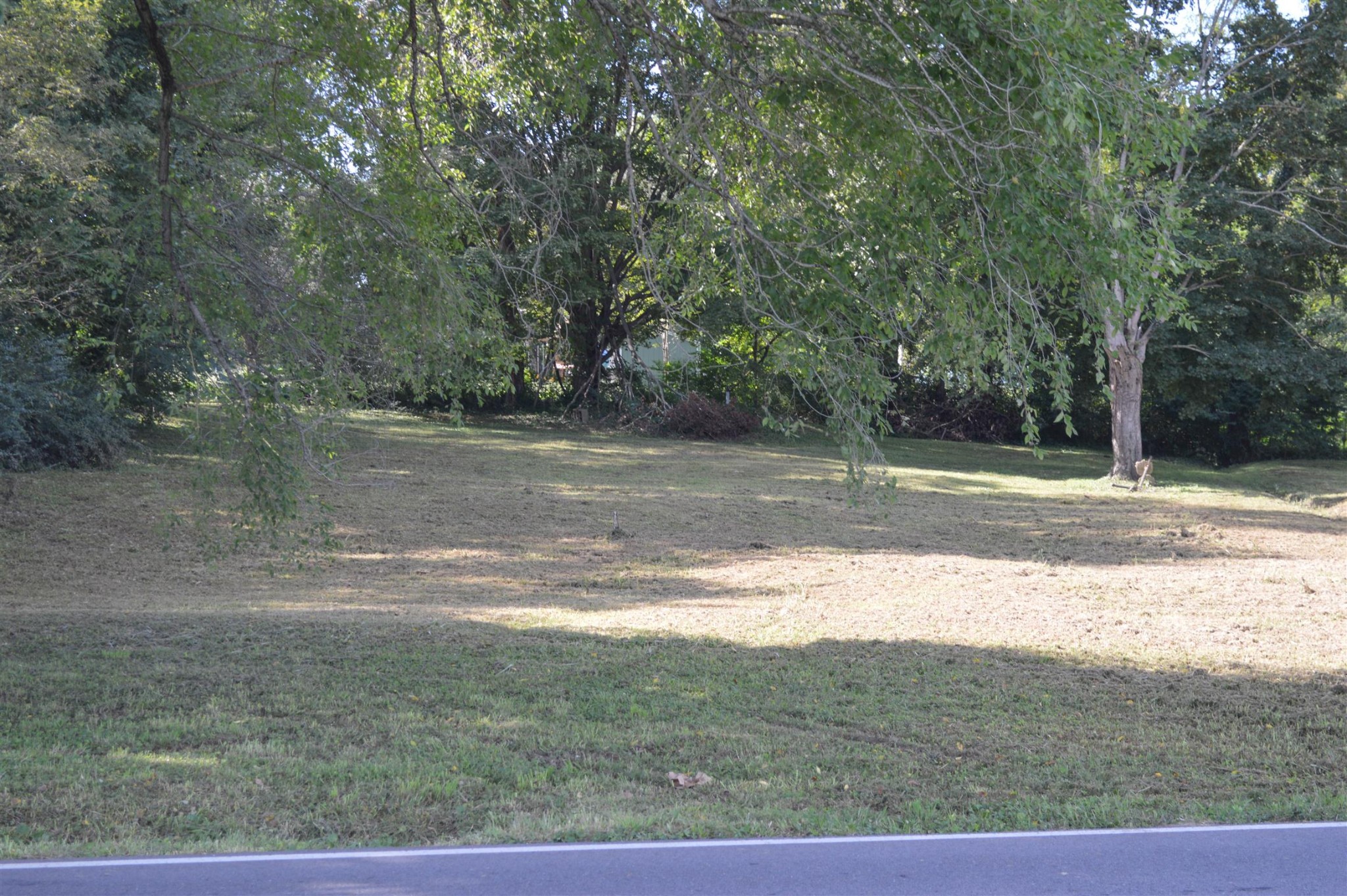 306 Fountainhead Road Portland, TN 37148 - Photo 3 of 6 a view of a yard with a large tree