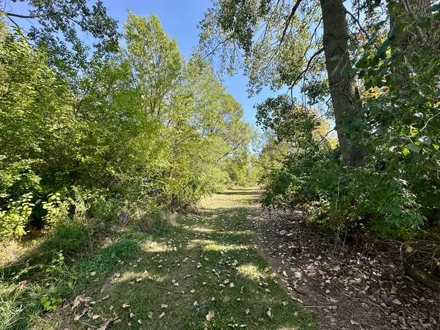 a view of a tree with a yard