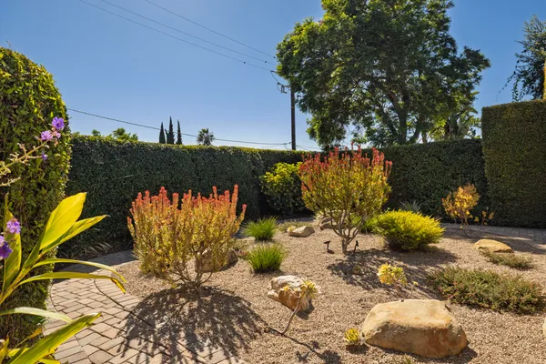 a view of a bench in the backyard