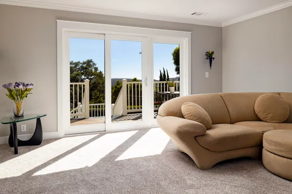 a living room with furniture and a potted plant