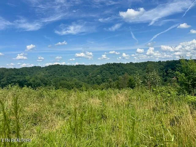 $72,900 | Lot #13 H O Allison Road, Baxter, TN 38544
