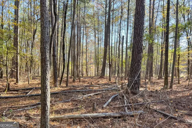 a view of a backyard with trees
