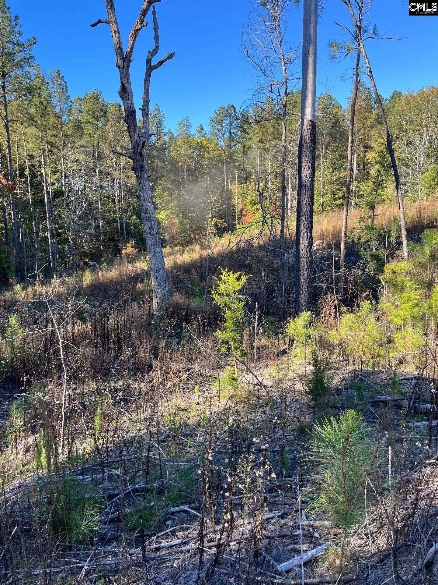 3 Dawkins Road, Unit DRF 3 Whitmire, SC 29178 - Photo 26 of 38