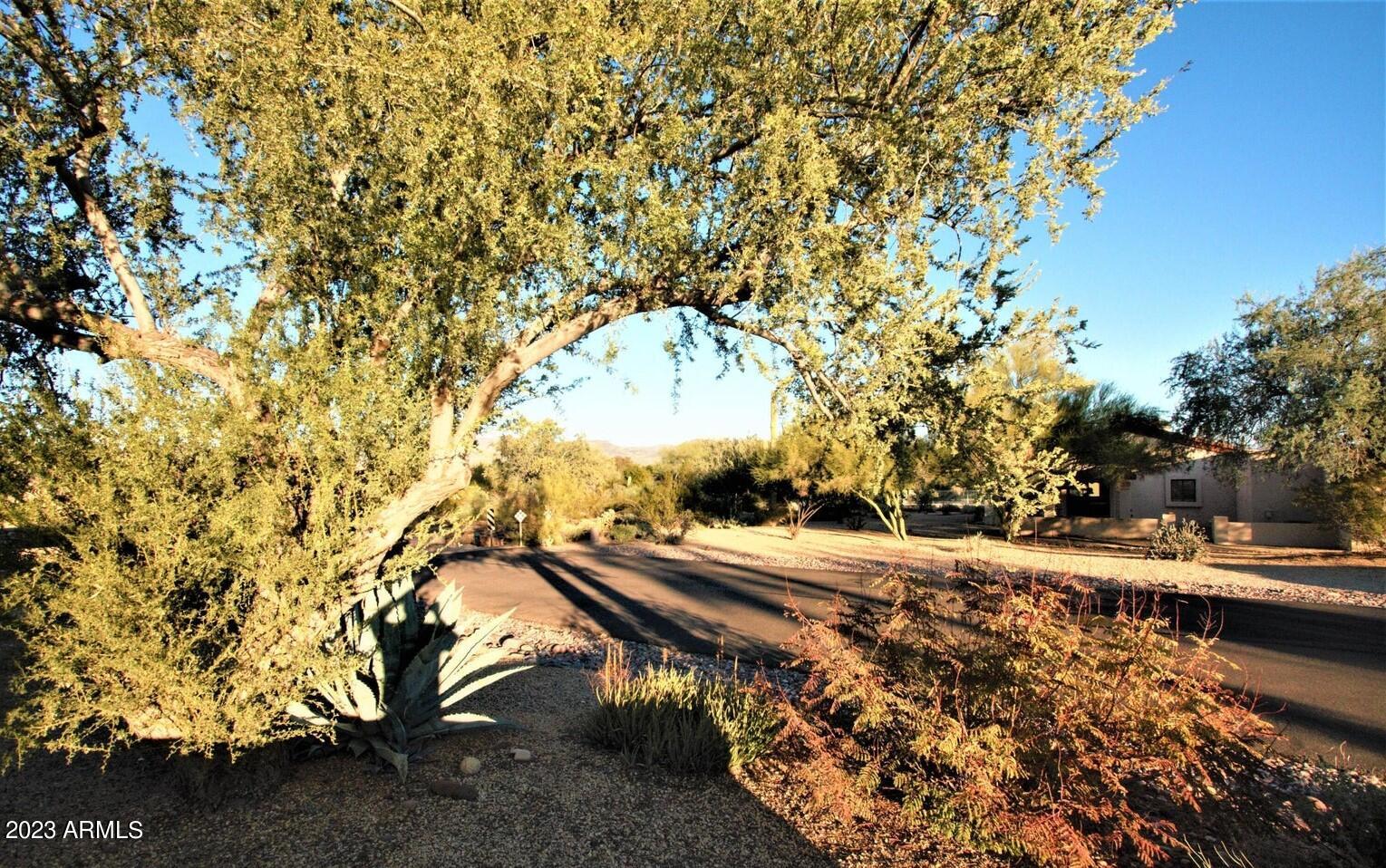 18418 East Horseshoe Bend Rio Verde, AZ 85263 - Photo 36 of 36 20220121015203178541000000-o