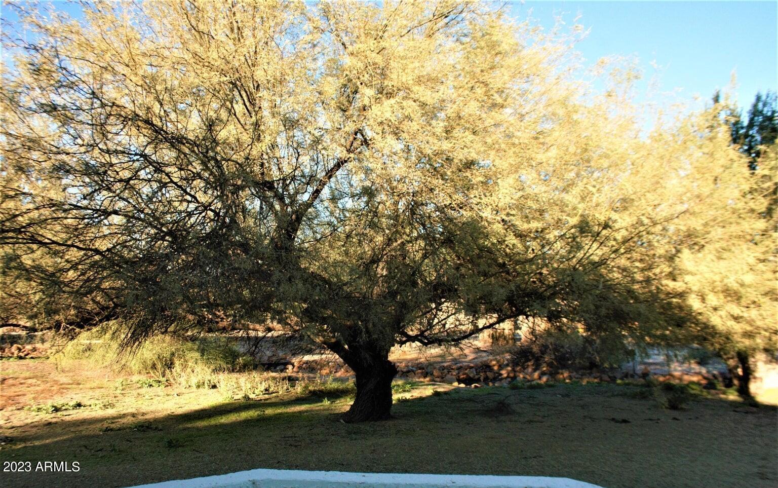 18418 East Horseshoe Bend Rio Verde, AZ 85263 - Photo 4 of 36 20220121014943853292000000-o