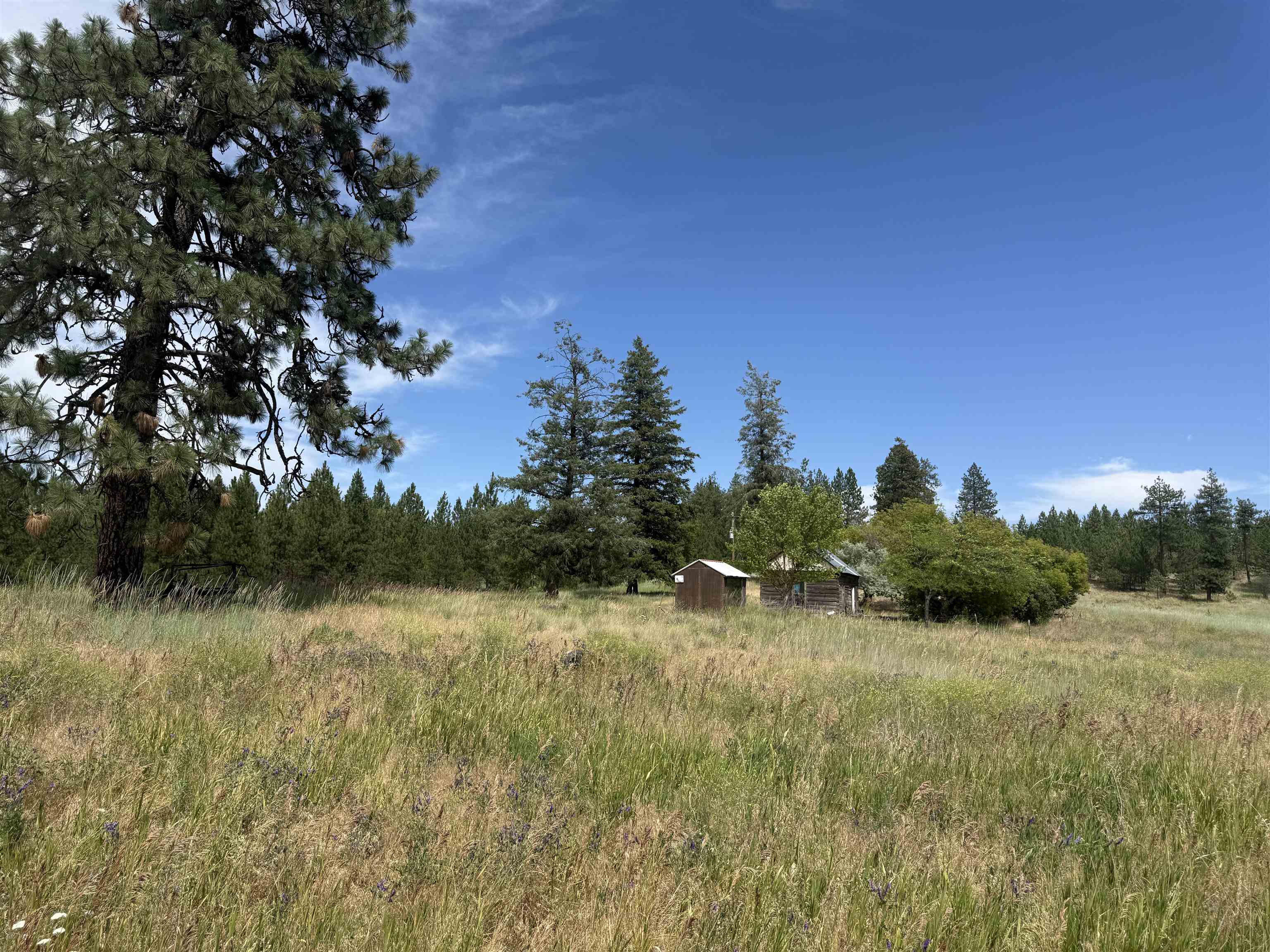 15211 North Wood Road Ford, WA 99013 - Photo 3 of 46 Gallery Image 3