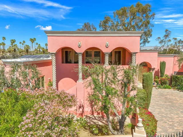 a living room with a table and a potted plant