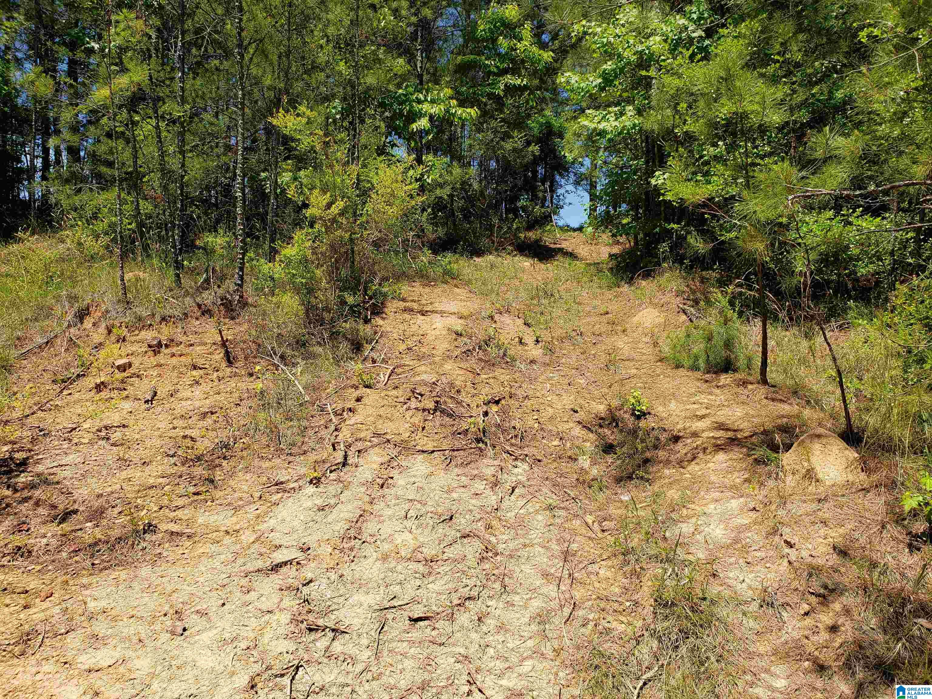 0 Clements Road, Unit 1 Cottondale, AL 35453 - Photo 11 of 16
