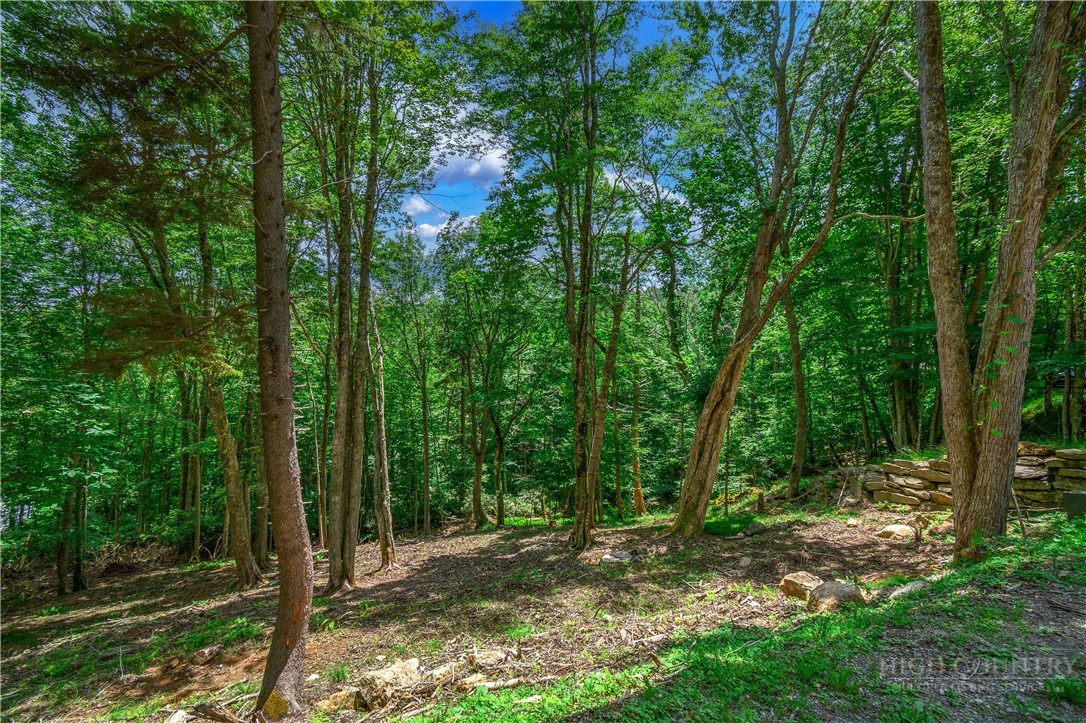 108 Windridge Road Beech Mountain, NC 28604 - Photo 38 of 49