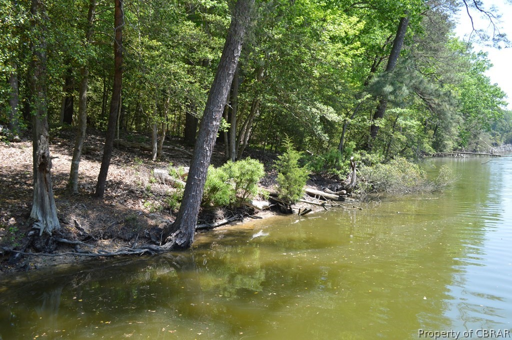 0 Forest Green Road Reedville, VA 22539 - Photo 2 of 4