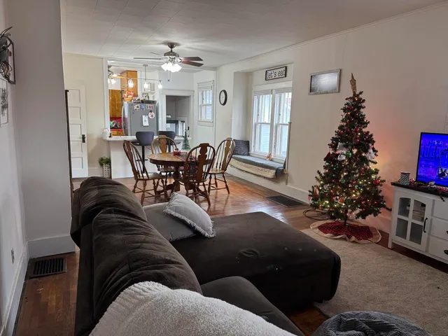 a living room with furniture flower pot and a fireplace