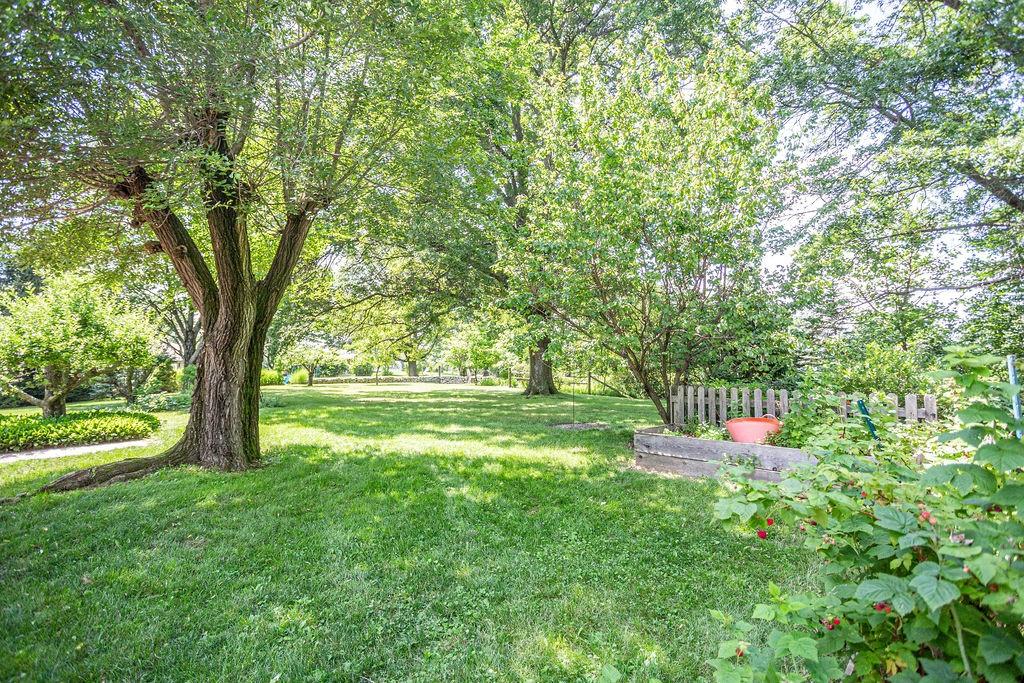 980 Longview Avenue Indiana, PA 15701 - Photo 5 of 18 Gallery Image 5