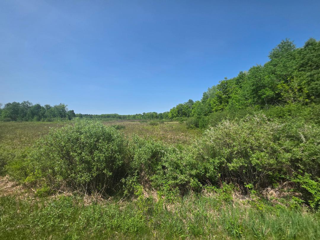 0 26 1/2 Cumberland, WI 54829 - Photo 10 of 11